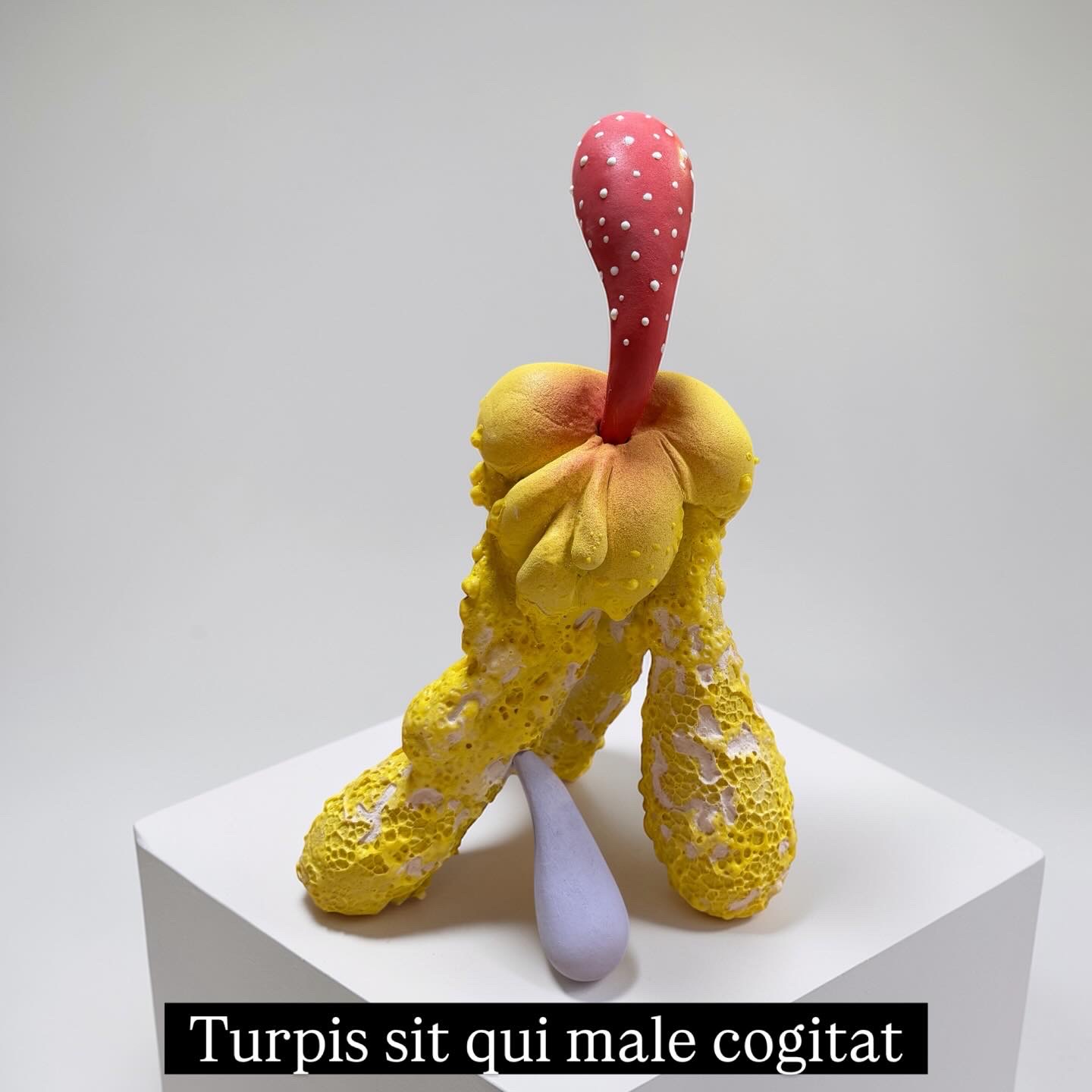 Turpis sit qui male cogitat
